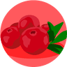 Avatar for Cranberry (Juice)