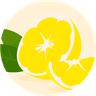 Avatar for Limón
