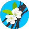 Avatar for Extracto de Vainilla