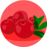 Avatar for Cranberry (Juice)