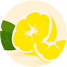 Avatar for Lemon